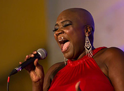 janine-web